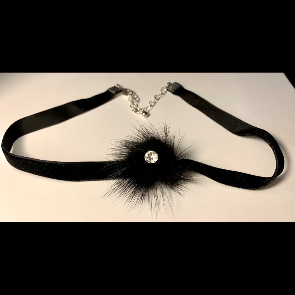 Necklace (choker)